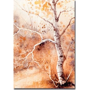 Image for Autumn Splendor Acknowledgement Cards, Inside Verse "Your Comforting Expression....", Package Of 50 from HD Supply