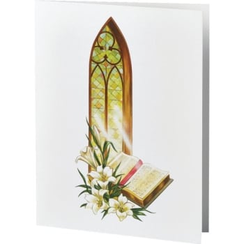 Image for Church Window, Large Service Record, 2-Up Microperfed, Blank, Package Of 500 from HD Supply