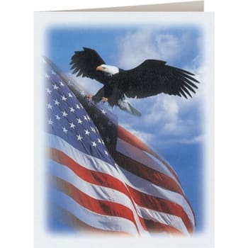 Image for Patriotic Large Service Record, 2-Up, Microperfed, Blank from HD Supply