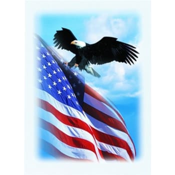 Image for Patriotic Acknowledgement Cards, Inside Verse- "During A Time Like This..", Package Of 50 from HD Supply