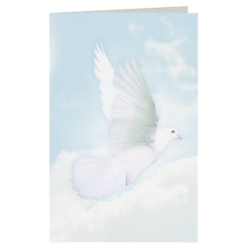 Image for Wings Of Hope Acknowledgement Cards, Inside Verse- "during A Time Like This..", Package Of 50 from HD Supply