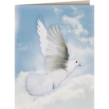 Image for Wings of Hope, Large Service Record, 2-Up, Microperfed, Blank, Package Of 500 from HD Supply