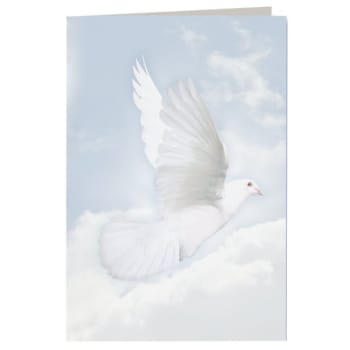 Image for Wings of Hope Church Style Bulletins, Folds to 5-1/2' x 8-1/2", Package Of 500 from HD Supply
