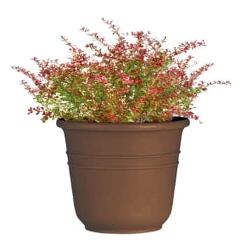 Classic Look Bell Planter, 12-1/2 x 15-3/8, Brown