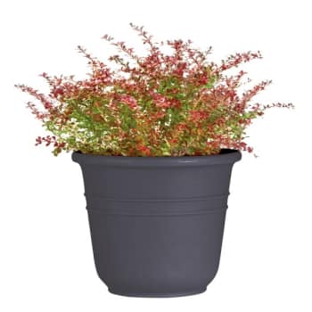 Image for Classic Look Bell Planter, 16-3/4 x 20-1/4, Charcoal from HD Supply
