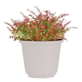 Image for Classic Look Bell Planter, 13-1/4 Diameter, Cement from HD Supply