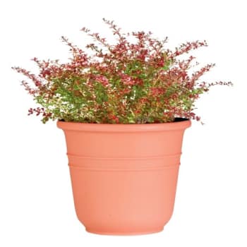 Image for Classic Look Bell Planter, 13-1/4, Terracotta from HD Supply