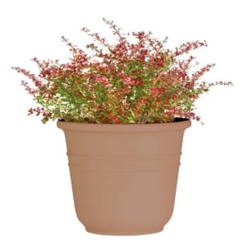 Image for Classic Look Bell Planter, 48 Diameter, Taupe from HD Supply