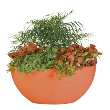 Image for Classic Look Flat Bottom Planter, 23-1/2 Diameter, Terracotta from HD Supply