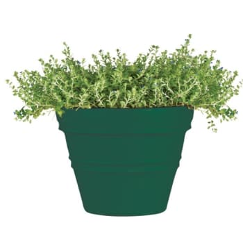 Image for Classic Look Rolled Rim Planter, 21 Diameter, Hunter Green from HD Supply