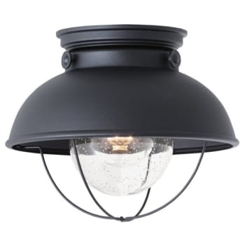 Sea Gull Lighting® 11.25 in. 1-Light Flush Mount Ceiling Light (Black)