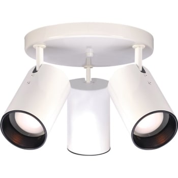 Image for Satco® 14 In. Halogen Semi-flush Mount Light from HD Supply