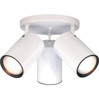 Image for Satco® 18 In. Halogen Semi-flush Mount Light from HD Supply