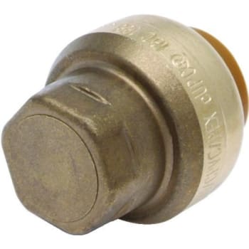 Image for SharkBite® Push-Fit End Stop - 1" from HD Supply