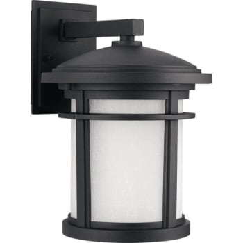 Image for Progress Lighting Led 17w Wish Black One-Light Medium Wall Lantern from HD Supply