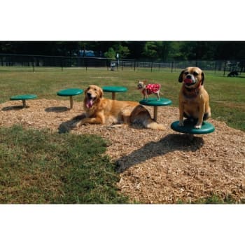 BarkPark® By UltraSite® Dog Park Stepping Paws - Natural Green/Beige