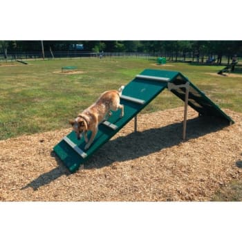 Image for Barkpark® Dog Park King Of The Hill (Green/beige) from HD Supply