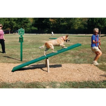 Image for BarkPark® By UltraSite® Dog Park Teeter Totter from HD Supply