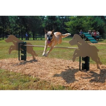 Image for BarkPark® By UltraSite® Dog Park Rover Jump Over from HD Supply