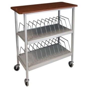 Image for Omnimed Artisan Open Chart Rack, 20 Cap, Cherry Thermofoil Top, Beige from HD Supply