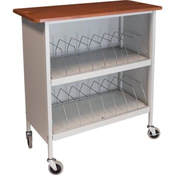 Image for Omnimed Artisan Cabinet Chart Rack, 16 Cap, Cherry Thermofoil Top, Beige from HD Supply