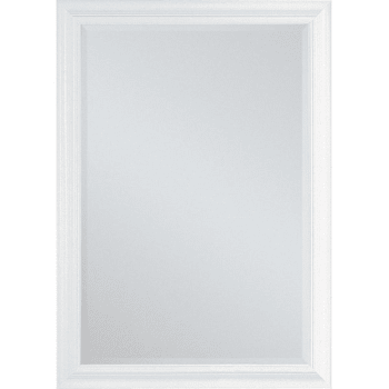 Image for Renin 13 x 49" White Framed Door Mirror from HD Supply