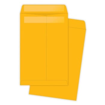 Image for Quality Park® Brown Redi-Seal Catalog Envelope 9 X 6", Package Of 100 from HD Supply