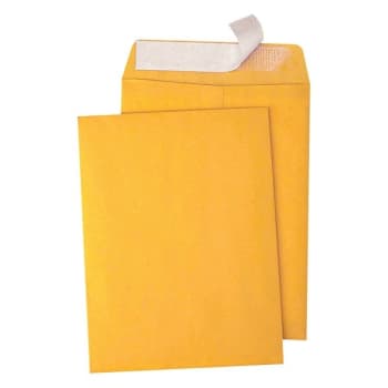 Image for Quality Park® Brown Kraft Redi-Strip Catalog Envelope 9 X 12", Package Of 100 from HD Supply