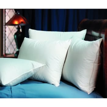 Image for Touch Of Down Pillow Standard 20x26 31 Ounce Case Of 12 from HD Supply