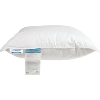 Best Western Dream Maker  Pillow King 20x36 37 Ounce Case Of 6