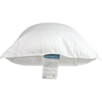 Best Western Dream Maker Polyester Fiberfill Queen Pillow (10-Case)