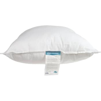 Best Western 20 x 26 in. Standard Dream Maker Pillow w/ Micro Denier Fill (12-Case)