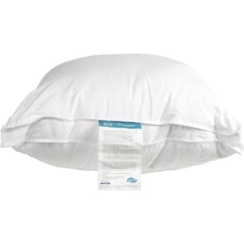 Best Western Dream Maker Gusseted Pillow Standard 20x26 28 Ounce Case Of 12