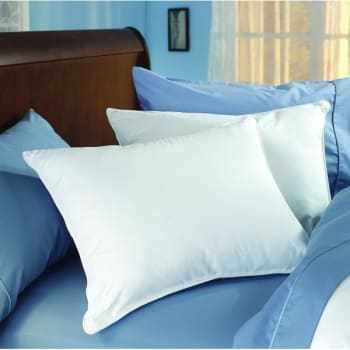 Image for IHG Loves To Be Washed Pillow - IHG HI, HIE, SBS, CWS, Queen Firm Case Of 6 from HD Supply
