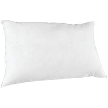 Cotton Bay Economy Pillow Queen 20x30 25 Ounce, Case Of 10