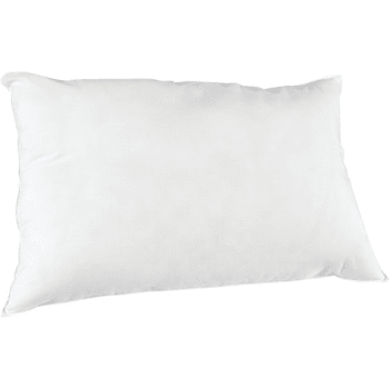 Cotton Bay® M6S6 Pillow Queen 20x30 25 Ounce, Case Of 10