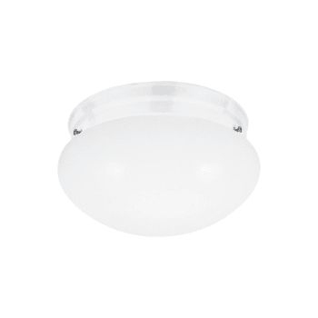 two light ceiling fixture