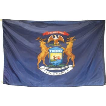 Image for Valley Forge Flag® State Flag Michigan 6' X 4' from HD Supply