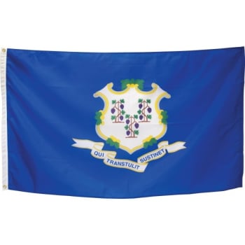 Image for Valley Forge Flag® State Flag Connecticut 5' X 3' from HD Supply