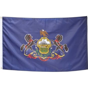 Image for Valley Forge Flag® State Flag Pennsylvania 6' x 4' from HD Supply