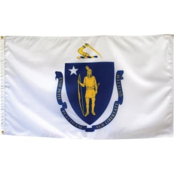 Image for Valley Forge Flag® State Flag Massachusetts 6' x 4' from HD Supply