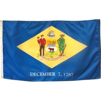Image for Valley Forge Flag® State Flag Delaware 6' x 4' from HD Supply