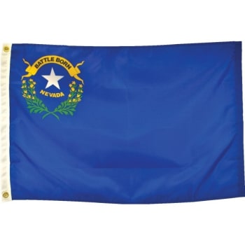 Image for Valley Forge Flag® State Flag Nevada 6' X 4' from HD Supply