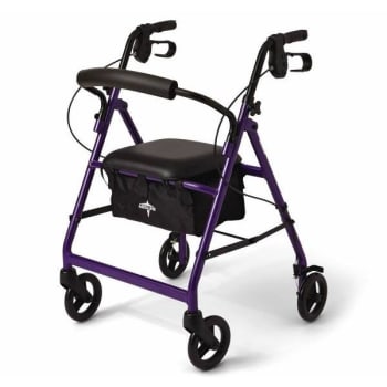 Image for Medline Industries Basic Rollators from HD Supply