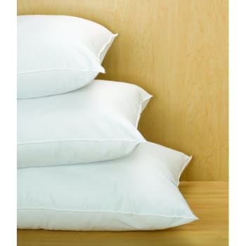 Cotton Bay® Essex™ Pillow Queen 20x30 25 Ounce, Case Of 10