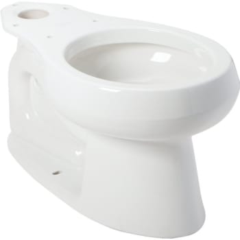 Image for Kohler® Wellworth® Round Front Toilet Bowl, 1.28 GPF, 12" Rough-In from HD Supply