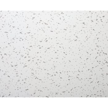 2 X 4 Fine Fissured Ceiling Tile Package Of 10 Hd Supply