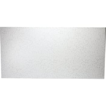 Parkland Performance 2 x 4' Fine Fissured Ceiling Tile, Package Of 10