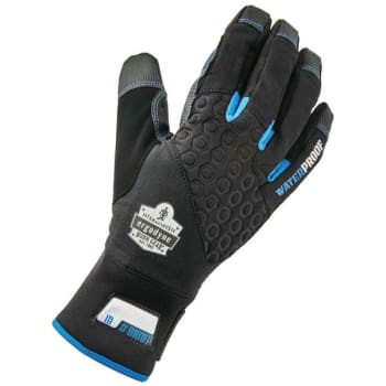 Ergodyne® Performance Thermal Waterproof Utility Gloves, Style 818WP, L