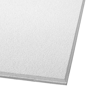 Image for Armstrong Ceilings Dune™ 2 Ft. X 2 Ft. #1774n Tegular Ceiling Panel (Carton Of 16) from HD Supply